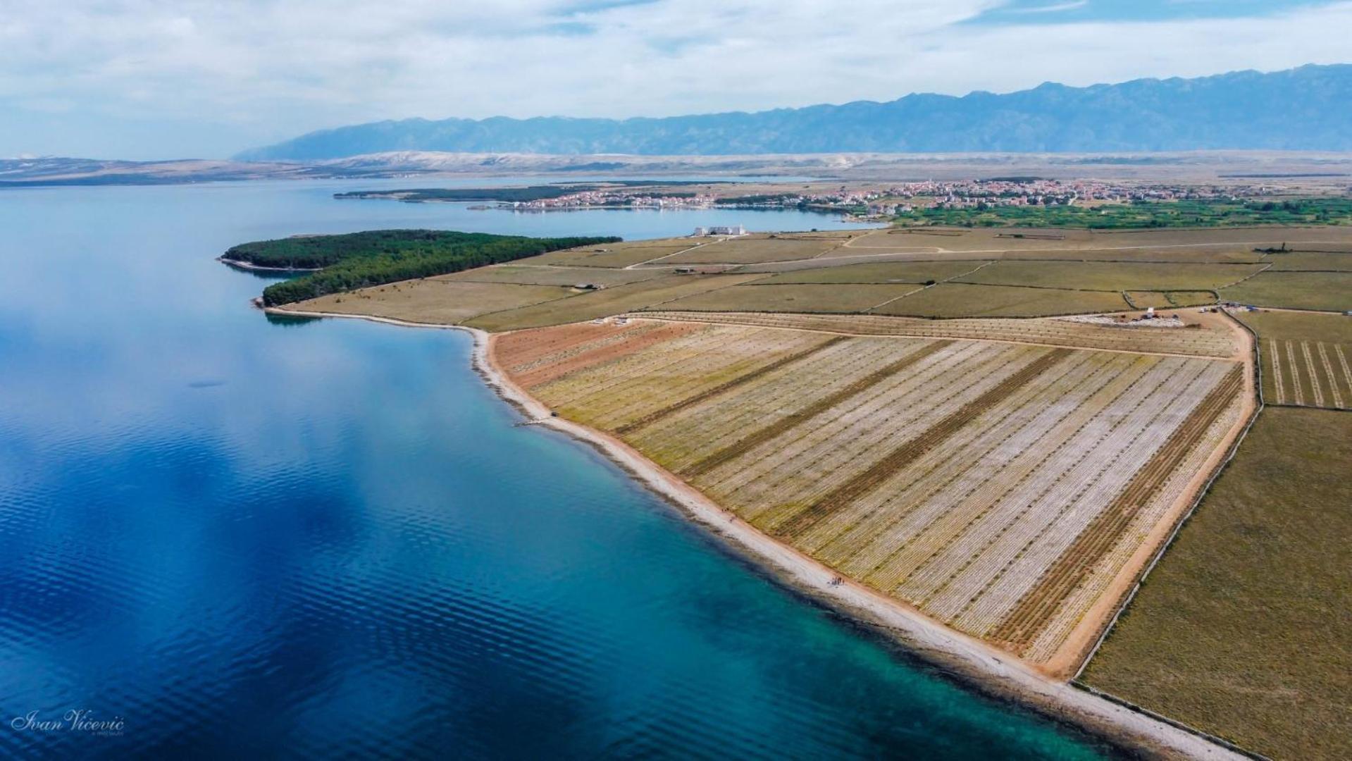 Mima Apartments Island Pag,Povljana Zewnętrze zdjęcie